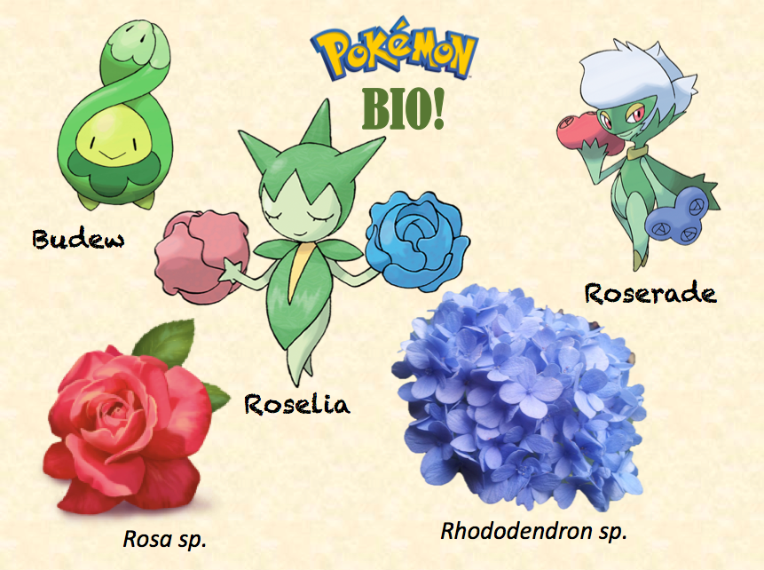LA CIENCIA DE LA VIDA: La base biológica de los Pokémon tipo Planta